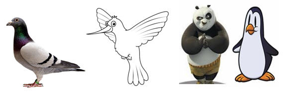 Pigeon, Hummingbird, Panda and Penguin: Animals, Algorithms or Armageddon?