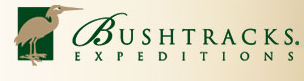 Bushtracks Expeditions